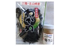 三陸　田野畑村北山崎産　塩ウニ&塩蔵わかめのセット【1271283】