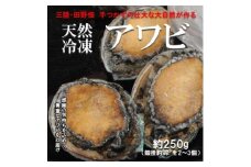 ＜三陸たのはた・天然冷凍アワビ＞約250g(小2～3個)【1567389】