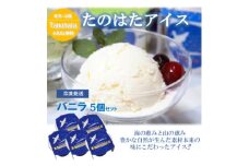 生乳100%で仕上げたなめらかな口溶けアイス　バニラ5個セット(120g×5個)【1596859】