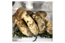 岩手県産　天然松茸　200g＜ミックスサイズ・数量・期間限定＞【1658903】