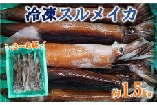  冷凍スルメイカ 約1.5kg （3～8杯） いか 刺身 いか塩辛 いかめし