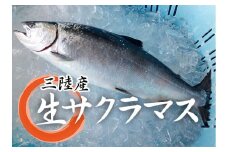 【４～５月期間限定】 岩手北三陸産 本マス まるごと１尾 約２ｋｇ （サクラマス） （真マス） 切身・三枚おろしのご希望も承ります。