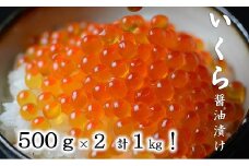 三陸産 いくら醤油漬け 3特 500g×2 (1kg)  国産 岩手県産
