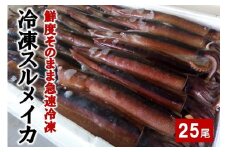 【鮮度そのまま急速冷凍】 冷凍スルメイカ 中25尾入り いか 刺身 いか塩辛 いかめし