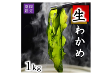 【期間限定】 生わかめ 北三陸産 早どりワカメ 1kg わかめ 生 若芽 三陸 わかめしゃぶしゃぶ 藻活