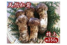 【期間限定】 岩手県産 松茸 天然 約350g 国産 【特上】