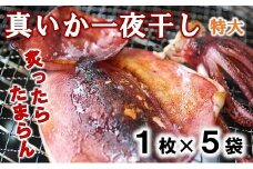 北三陸産 イカの一夜干し特大 １枚入り×５袋 いか一夜干し いか イカ焼き イカ飯 BBQ イカゲソ