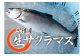 4月～５月　新鮮なサクラマスです。桜の咲く時期が旬で脂がのっていて美味しいことからサクラマスと呼ばれております。