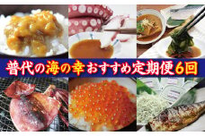 【定期便】三陸 普代のおすすめ海の幸お楽しみ定期便６回 ６カ月連続お届け 海鮮