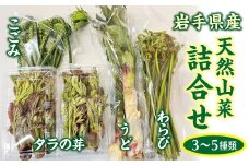 【先行予約】 【４月中旬頃～発送予定】 天然の山菜セット ３～５種類 たらのめ しどけ わらび こごみ 山うど ミックス 数量限定