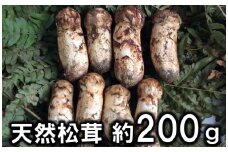 【期間限定】 岩手県産 松茸 天然 約200g 北三陸 【数量限定】 国産 松茸訳あり 小さめ コロ