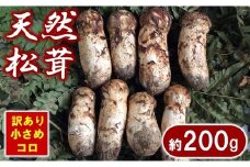 【期間限定】 岩手県産 松茸 天然 約200g 北三陸 【数量限定】 国産 松茸訳あり 小さめ コロ