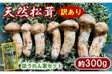 【期間限定】 岩手県産 松茸 天然 約300g 国産 松茸訳あり （つぼみ、開き、傷もの等）＆ほうれん草一束セット 【数量限定】
