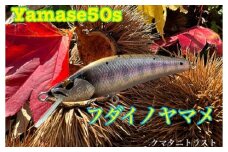 渓流向け木製ルアー【Yamase50s】 クマタニトラスト