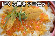 三陸のいくらと焼きウニセット（いくら醤油漬け牛乳瓶160g アワビの貝に盛った焼ウニ 80g セット)  うに いくらセット
