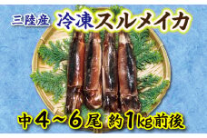 冷凍スルメイカ中4～６本（約1kg前後）鮮度そのまま！使い勝手抜群！ いか 刺身 イカ いかめし イカ焼き いか塩辛