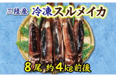 冷凍スルメイカ特大 ８本 (約4kg前後）