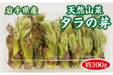 【先行予約】 【４月中旬頃～発送予定】 山菜 タラの芽 300g 天然 たらのめ