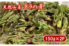 岩手産 天然タラの芽 150ｇ×2P 合計300ｇ 山菜 たらのめ