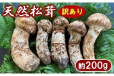 【期間限定】 岩手北三陸産 松茸 天然 約200g 国産 松茸訳あり （つぼみ、開き、傷もの等） 【数量限定】