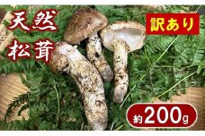 【期間限定】 岩手県産 松茸 天然 約200g 国産 松茸訳あり 【開きや小さめ、割れ、欠けなど】 家庭用