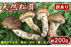 【期間限定】 岩手県産 松茸 天然 約200g 国産 松茸訳あり 【開きや小さめ、割れ、欠けなど】 家庭用