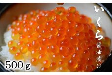 北海道産 いくら醤油漬 500g ３特 (鮭卵)  いくら 北海道 国産 