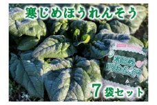 【11月～２月下旬 発送予定】 寒じめほうれんそう 約210g×7袋 野菜 ほうれん草 ホウレンソウ