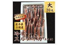 【鮮度そのまま急速冷凍】冷凍スルメイカ 大サイズ 20尾入 鮮度そのまま！ いか イカ