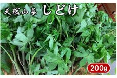 岩手県産 期間限定！天然しどけ 200ｇ 山菜 