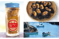 【漁師厳選 普代産生うに100%使用】 塩うに60g １本 瓶詰 ミョウバン不使用 うに瓶 雲丹 うに冷凍
