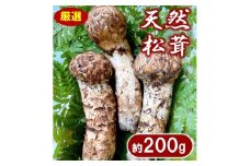【期間限定】 岩手県産 松茸 天然 約200g 国産 北三陸 厳選 数量限定