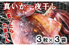北三陸産 真イカの一夜干し 3枚入り×3袋 いか一夜干し いか イカ焼き イカ飯 BBQ イカゲソ