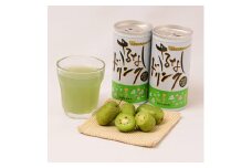 ＜いわて軽米町産果実100%使用＞さるなしドリンク　12本入【1018667】