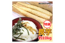 ＜軽米町産＞長芋　約10kg【1033987】