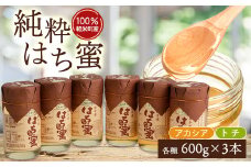 天然ハチミツ2種6個セット(アカシア600g×3個、トチ600g×3個)【1034001】