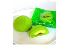 ＜軽米町特産サルナシを使った新しいスイーツ＞さるなしふわり　5個入り×2箱(10個)【1062481】