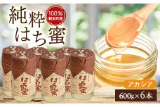 ＜100%軽米町産＞天然ハチミツセット(アカシア蜜の600g6本)【1070551】