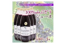 ＜軽米町産ヤマブドウ使用＞100%山ぶどうジュース　1000ml×5本【1101958】