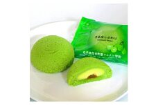 ＜軽米町特産サルナシを使ったスイーツ＞さるなしふわり　10個入り×2箱【1101961】
