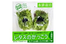 ＜植物工場で育ったレタス＞「レタスのがっこう」1週間分(計7袋)【1111022】