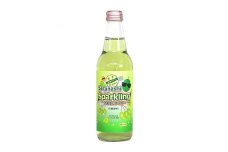 ＜軽米町産さるなし果汁使用＞さるなしサイダー　330ml×24本【1135338】
