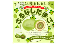 ＜軽米町産サルナシを使ったお菓子＞さるなしたまご9個入×1箱【1351601】
