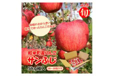 ＜今が旬!　軽米町産りんご＞サンふじ5kg箱入り(16玉～18玉)【1371935】