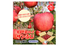 ＜今が旬!　軽米町産りんご＞サンふじ10kg箱入り(18玉×2段=36玉・自家消費用向き)【1371937】