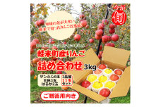 ＜今が旬!　軽米町産りんご＞「サンふじ」「王林」「はるか」の詰め合わせ　3kg(11玉)【1376892】