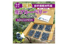 ＜数量/期間限定＞実のり畑中果樹園のもぎたて完熟生ブルーベリー約750g(L～3Lサイズ込み)【1407141】