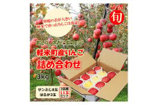 ＜今が旬!　軽米町産りんご＞「サンふじ」「はるか」の詰め合わせ　3kg(11玉)【1472967】