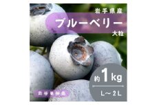 ＜期間限定＞＜苅谷果樹園＞大粒ブルーベリー(L～2Lサイズ)約1kg　小分けパック　岩手県軽米町【1518035】