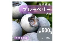 ＜期間限定＞＜苅谷果樹園＞大粒ブルーベリー(L～2Lサイズ)約500g　小分けパック　岩手県軽米町【1518036】